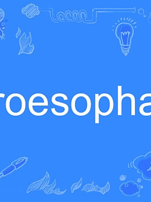 gastroesophageal gastroesophageal