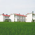 永鎮村(安徽省蕪湖市鳩江區清水街道永鎮村) 永鎮村(安徽省蕪湖市鳩江區清水街道永鎮村)
