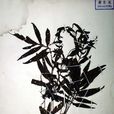 隱子蕨亞科 隱子蕨亞科