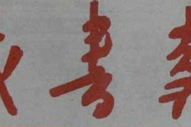 藏書報 藏書報