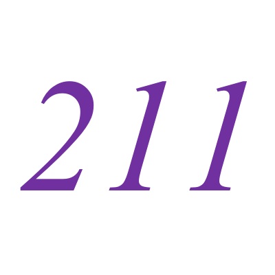 211(自然數之一)
