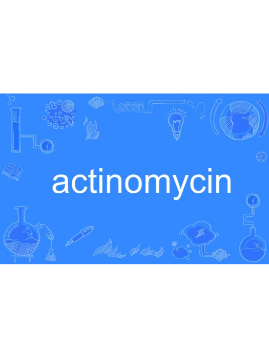 actinomycin actinomycin