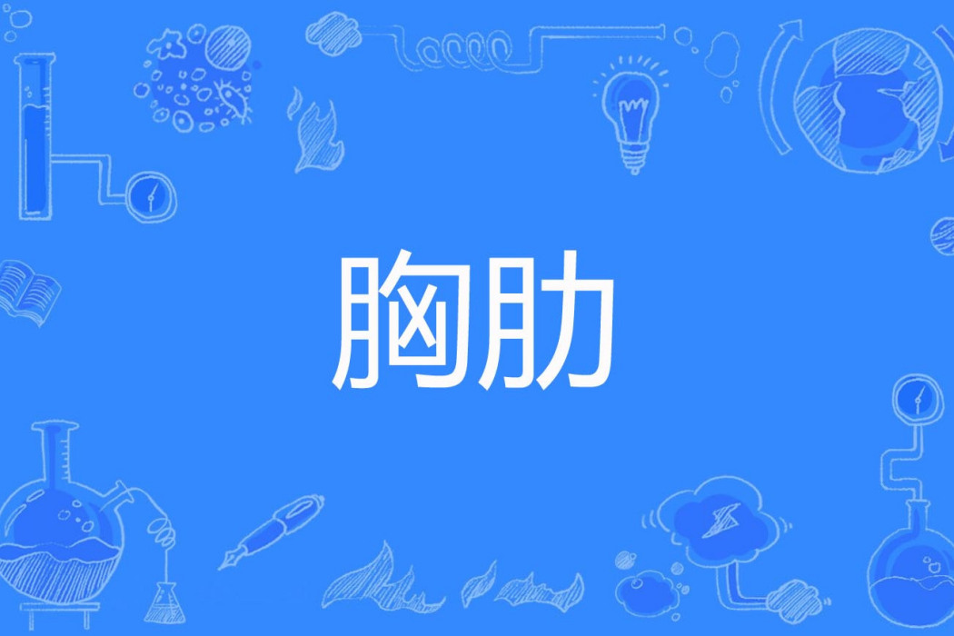 胸肋 胸肋