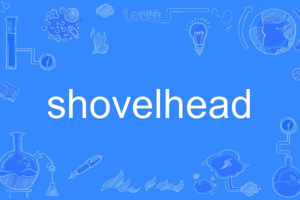 shovelhead shovelhead