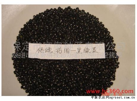 農大159 農大159
