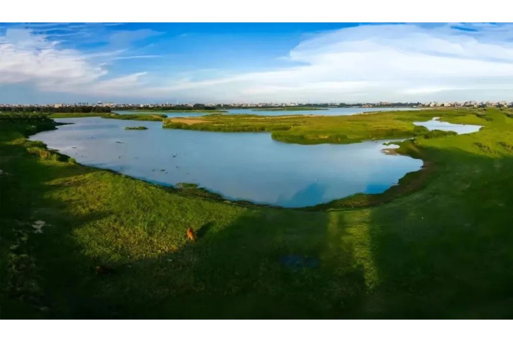 虺湖 虺湖