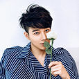 楊廷東(楊鑫（中國大陸男演員）)