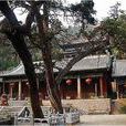 龍堂寺 龍堂寺