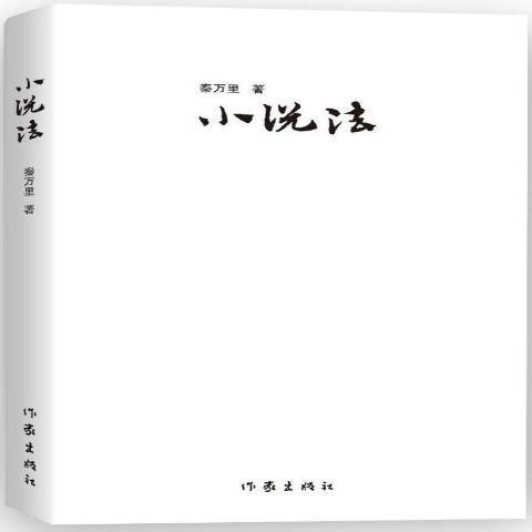 小說法 小說法