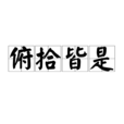 俯拾皆是 俯拾皆是