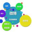 網路整合行銷(e-imc)
