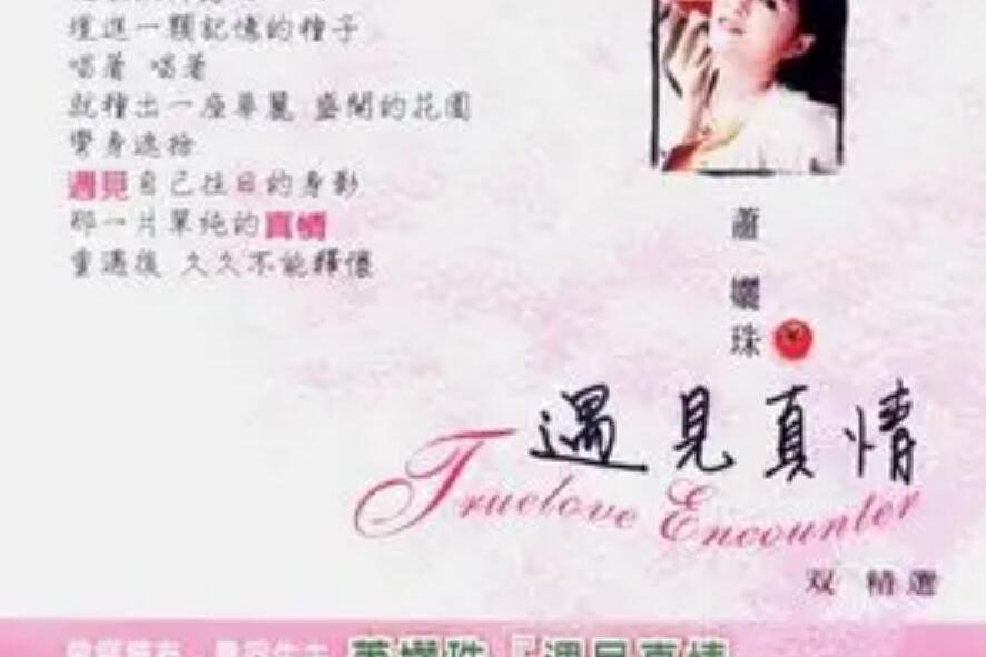 真情(蕭孋珠《遇見真情》專輯中的歌曲) 真情(蕭孋珠《遇見真情》專輯中的歌曲)