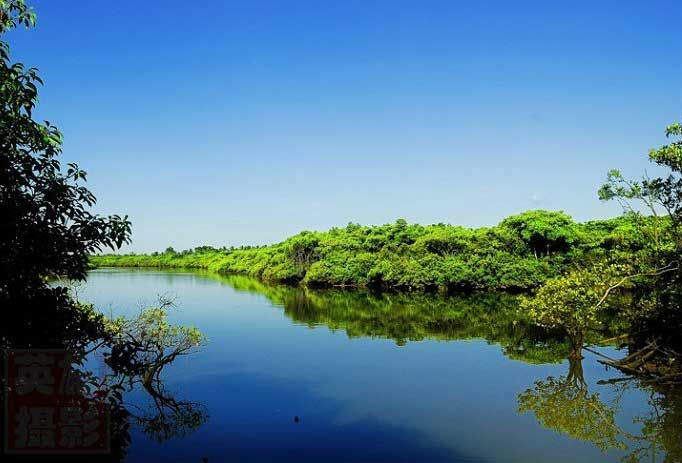 東寨港紅樹林國家級自然保護區