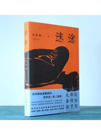 迷途(2022年作家出版社出版的書籍) 迷途(2022年作家出版社出版的書籍)