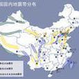 地震活動帶