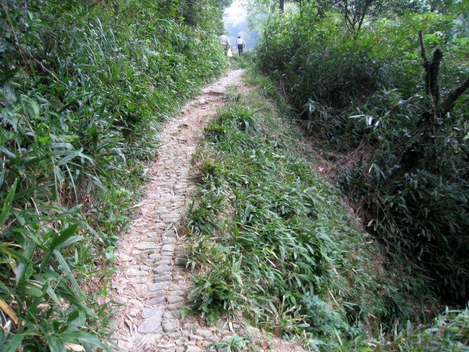 芝山古道 芝山古道