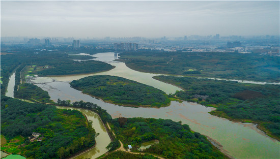 十陵青龍湖濕地公園