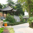 九蓮塘公園 九蓮塘公園