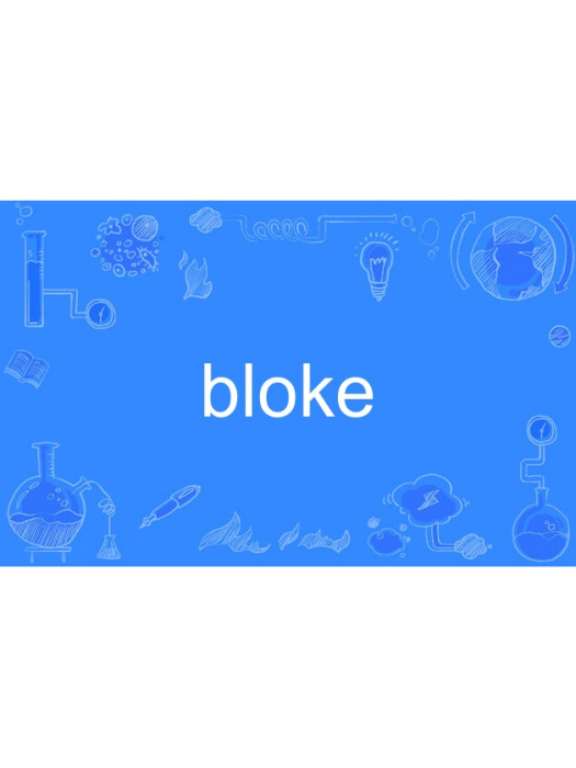 bloke bloke
