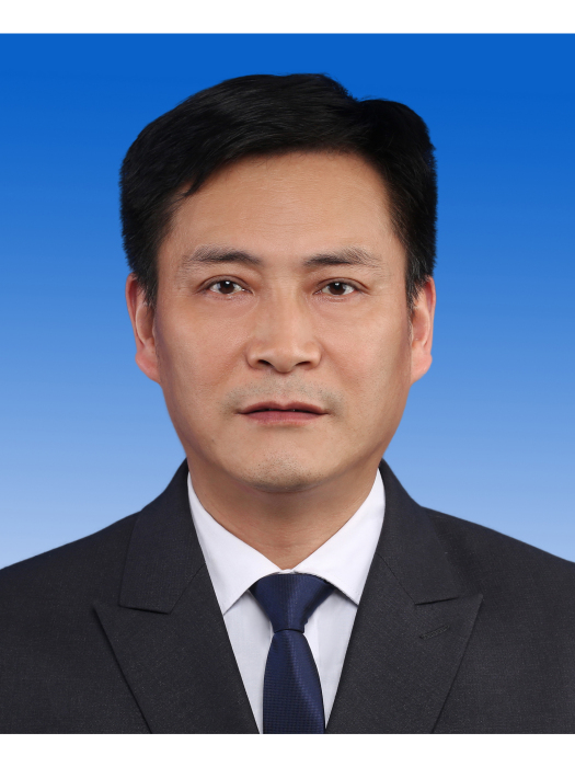 朱勇(重慶市渝北區龍溪街道黨工委委員、政法委員) 朱勇(重慶市渝北區龍溪街道黨工委委員、政法委員)