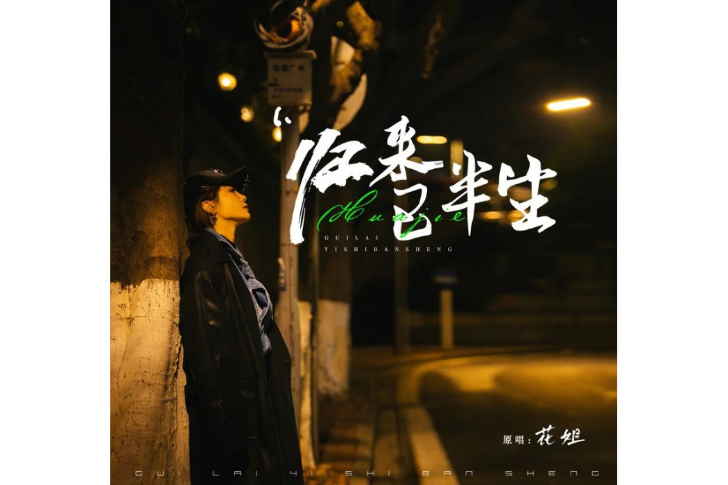 歸來已半生