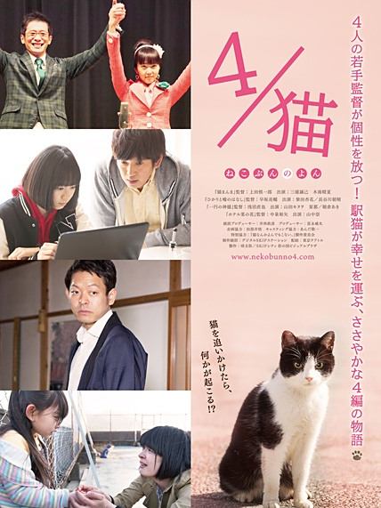 4/貓 4/貓