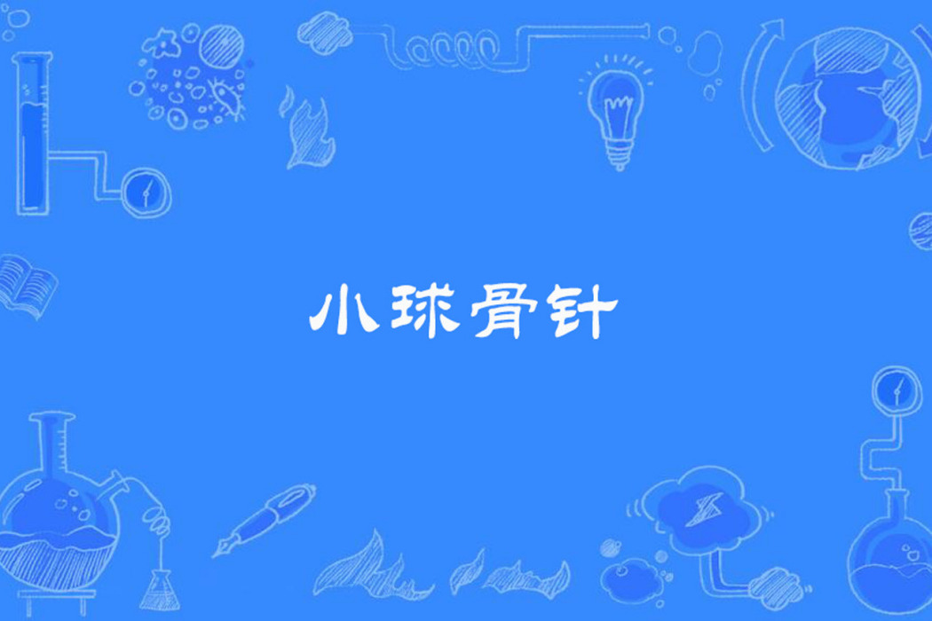 小球骨針 小球骨針