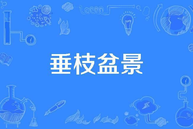 垂枝盆景 垂枝盆景