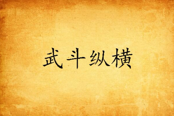 武鬥縱橫 武鬥縱橫