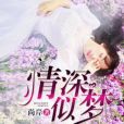 情深似夢 情深似夢