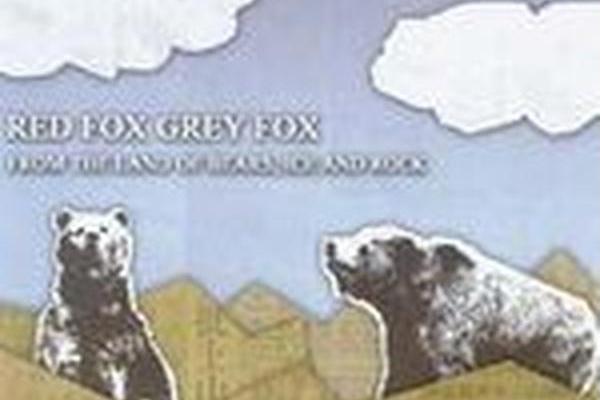 Red Fox Grey Fox Red Fox Grey Fox