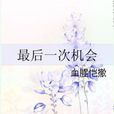 最後一次機會(網路小說)