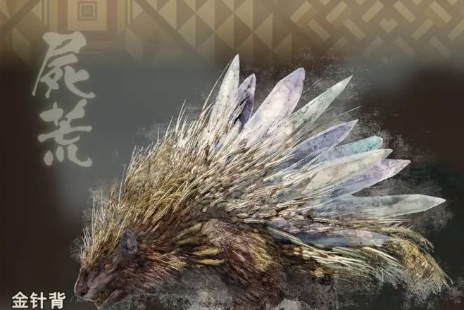 金針背 金針背