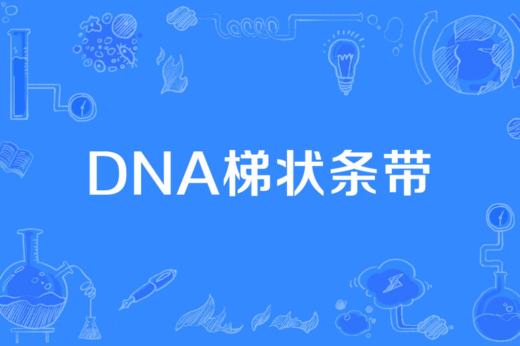 DNA梯狀條帶