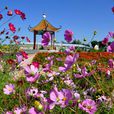 永興村(內蒙古興安盟扎賚特旗好力保鄉永興村) 永興村(內蒙古興安盟扎賚特旗好力保鄉永興村)