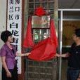 白龍鄉(海南省海口市振東區白龍鄉) 白龍鄉(海南省海口市振東區白龍鄉)