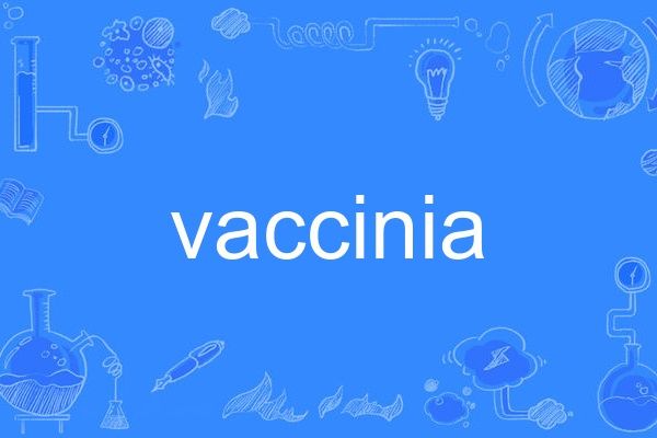 vaccinia vaccinia
