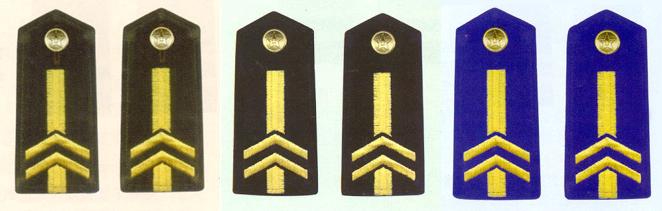 陸海空軍二級專業軍士肩章(1993-1999)