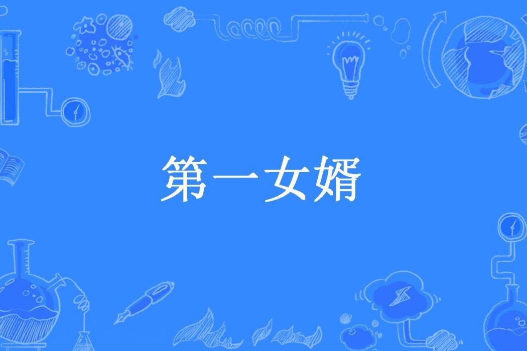 第一女婿(非二所著小說) 第一女婿(非二所著小說)