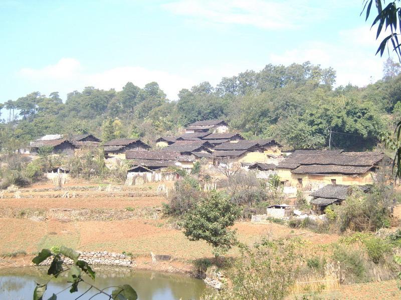 鮮興村 鮮興村