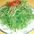 桐柏山山野菜 桐柏山山野菜