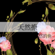 天然撩 天然撩