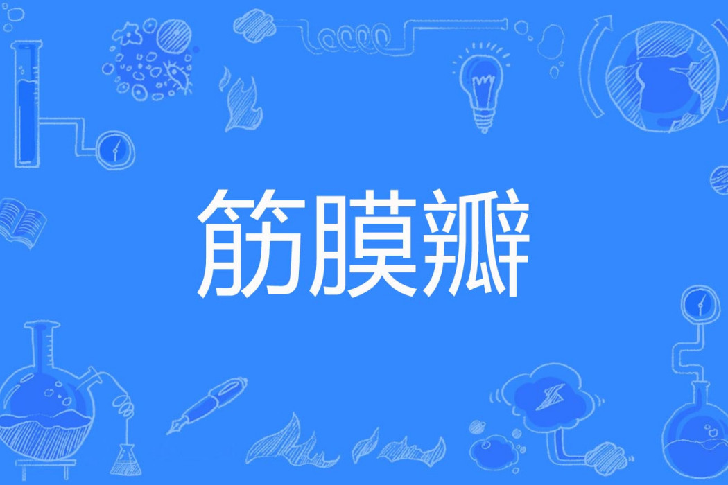 筋膜瓣 筋膜瓣