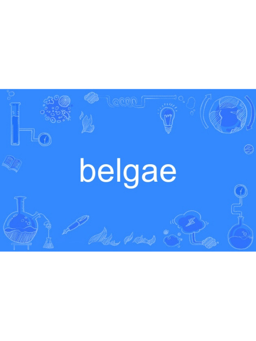 belgae