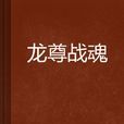 龍尊戰魂 龍尊戰魂