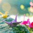 七彩年華 七彩年華