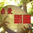 我愛新疆 我愛新疆