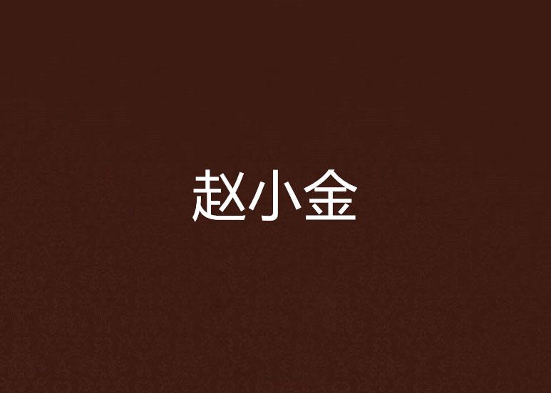 趙小金(網路小說) 趙小金(網路小說)