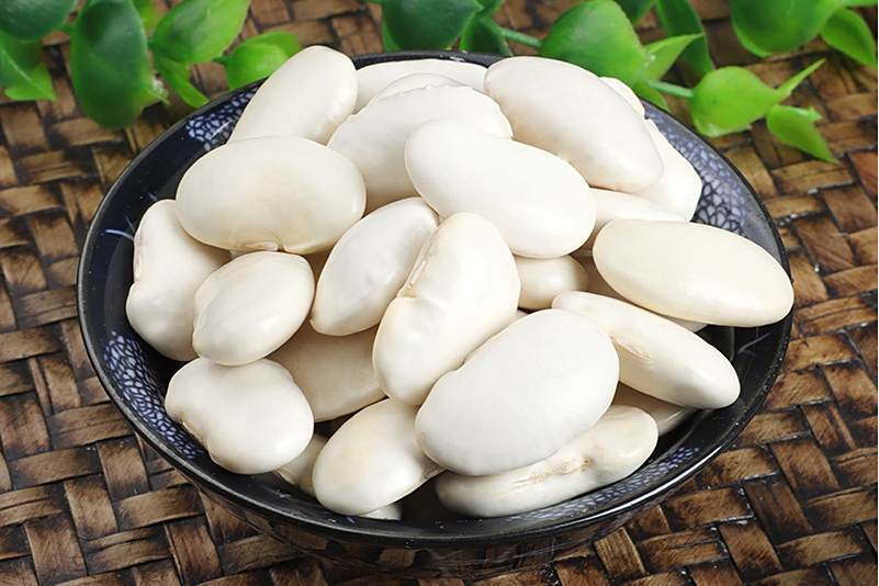 大白洋豆 大白洋豆