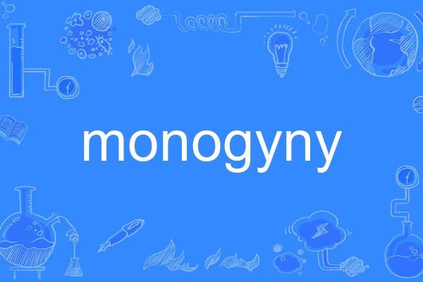 monogyny monogyny
